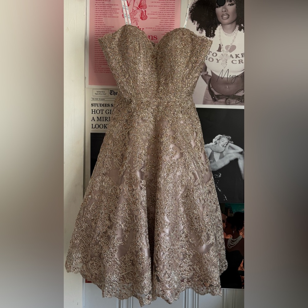 Elegant Lace Applique Evening Dress in Champagne Gold/Rose Gold